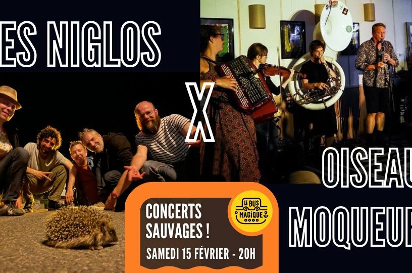 OISEAUX MOQUEURS x NIGLOS | Péniche le Bus Magique