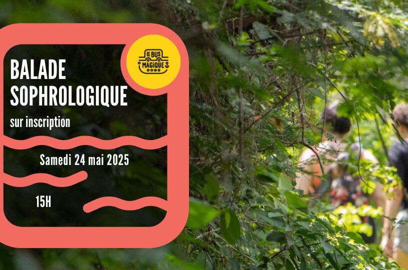 Sophro-balade à la Citadelle ! | Péniche Le Bus magique