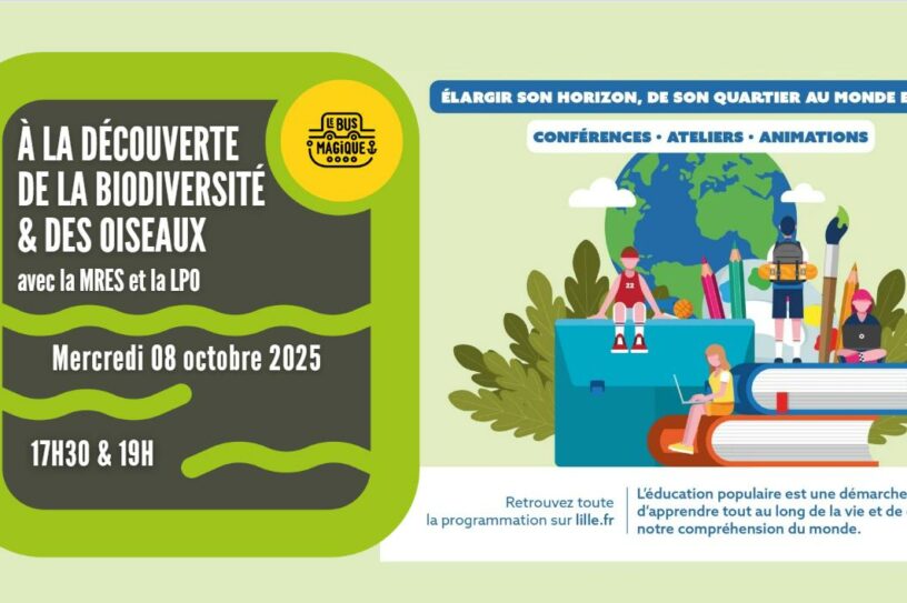 Semaine de l’Éduc Pop : à la découverte de la biodiversité et des oiseaux avec la MRES et la LPO