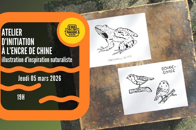 ILLUSTRATION D&rsquo;INSPIRATION NATURALISTE : atelier encre de chine / Péniche le Bus magique